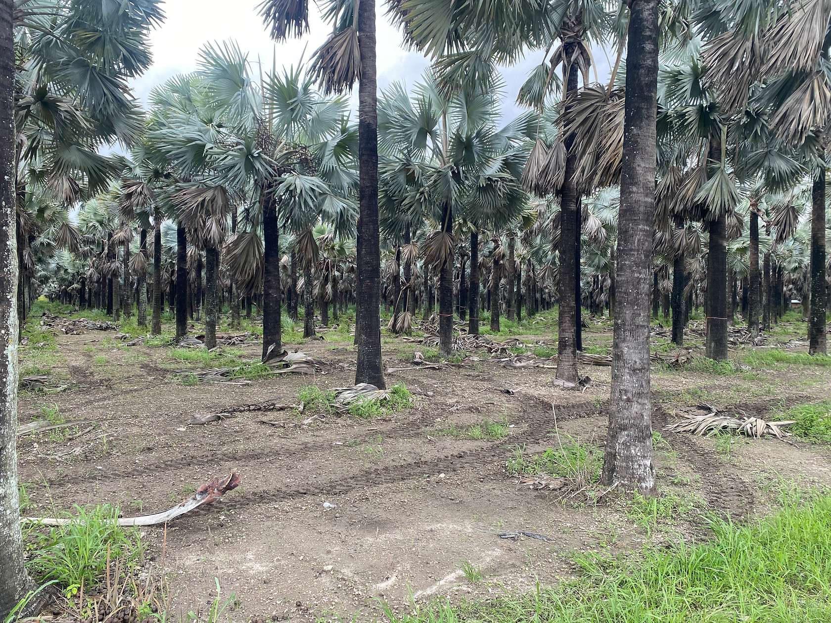 80 Acres of Land for Sale in Miami, Florida