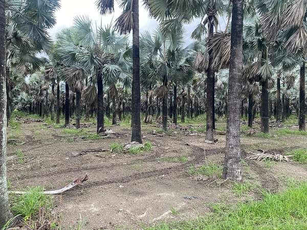 80 Acres of Land for Sale in Miami, Florida