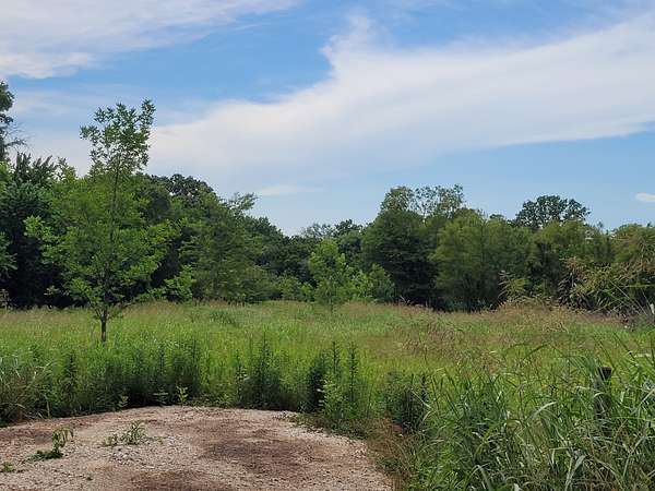 11.2 Acres of Land for Sale in Clarksville, Texas
