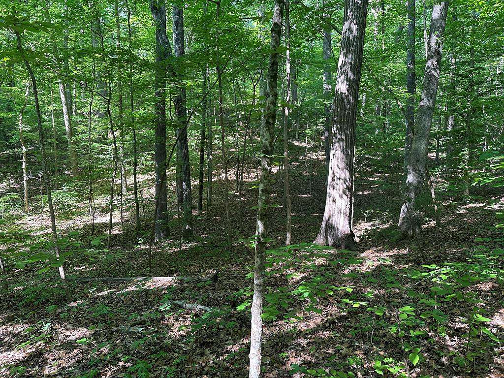 1.3 Acres of Residential Land for Sale in Clarksville, Virginia