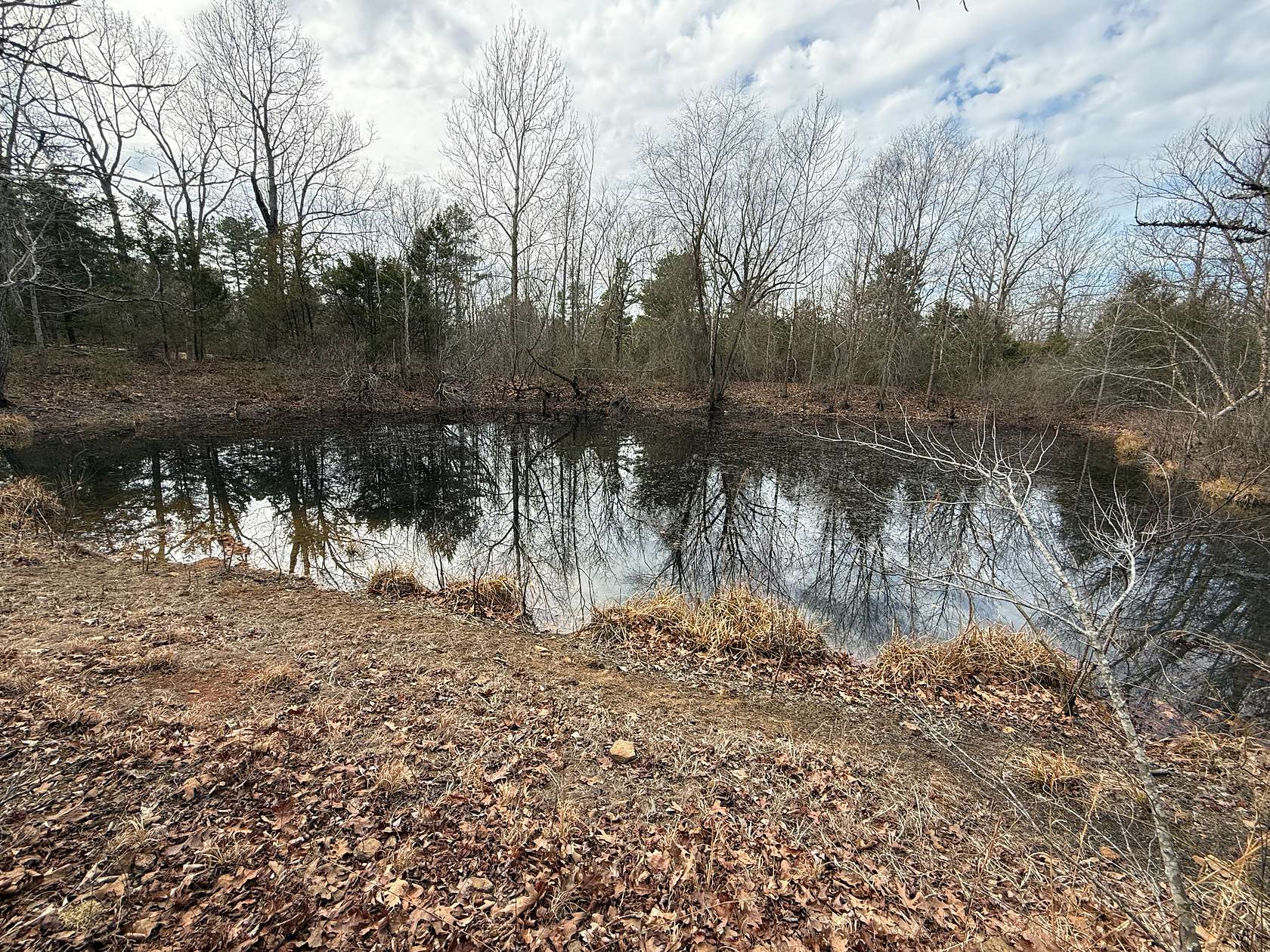 6 Acres of Land for Sale in Timbo, Arkansas