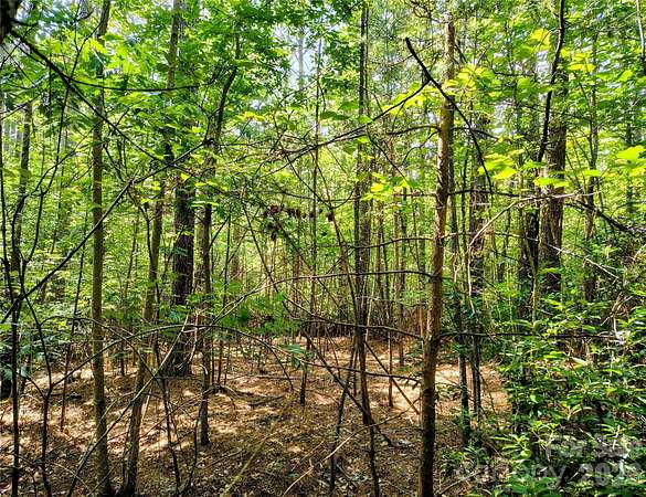 2 Acres of Residential Land for Sale in Connelly Springs, North Carolina