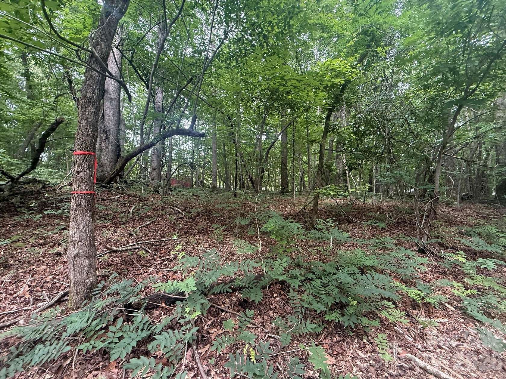 1.4 Acres of Residential Land for Sale in Troy, North Carolina