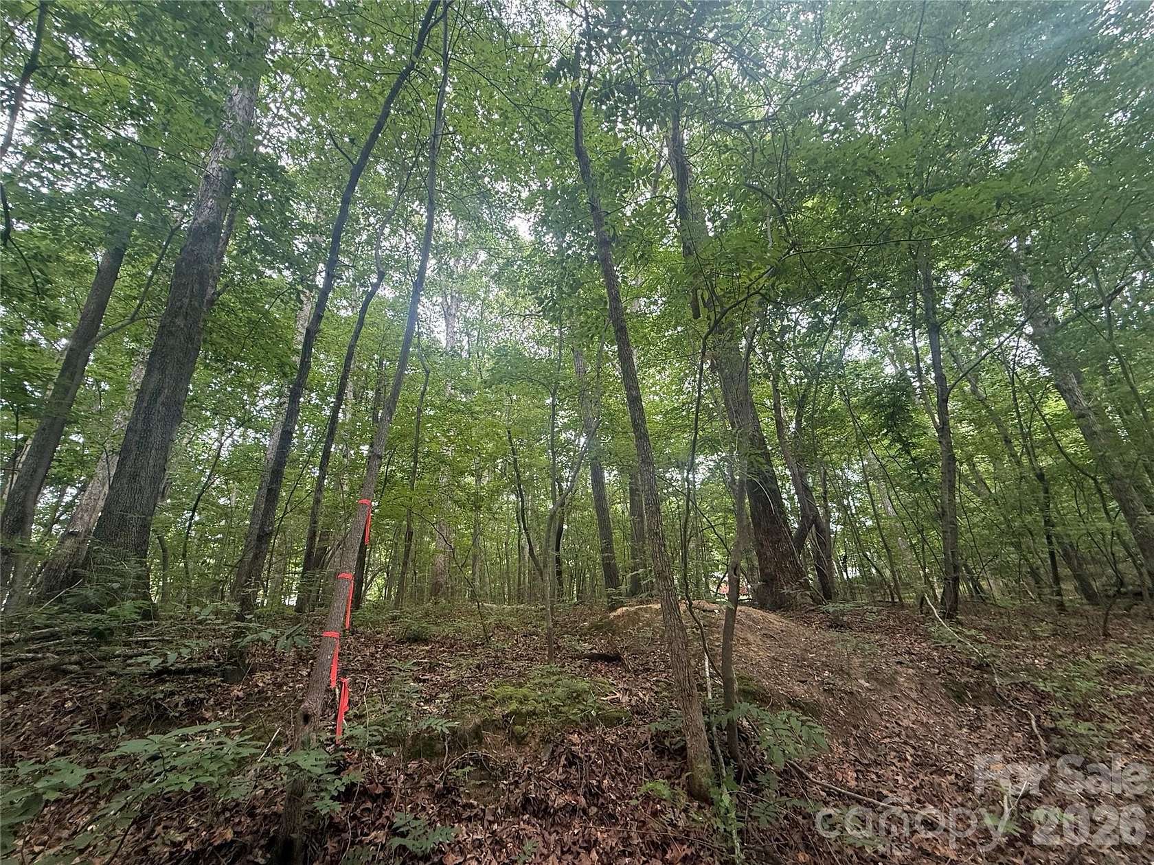 0.47 Acres of Residential Land for Sale in Troy, North Carolina