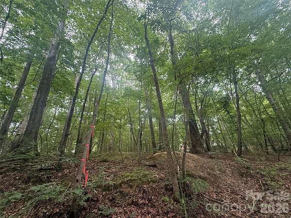 0.47 Acres of Residential Land for Sale in Troy, North Carolina