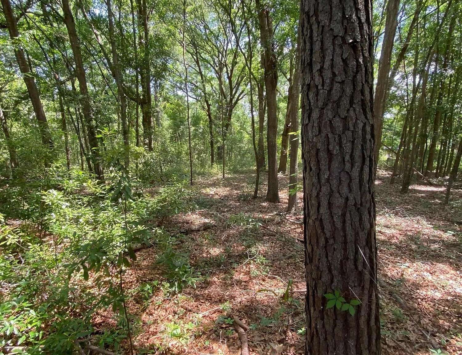 1.72 Acres of Residential Land for Sale in Saint Helena Island, South Carolina