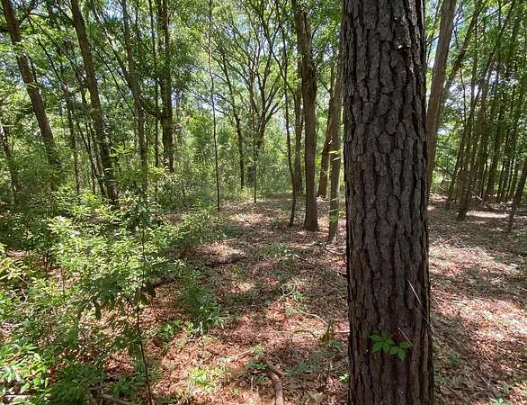 1.72 Acres of Residential Land for Sale in Saint Helena Island, South Carolina