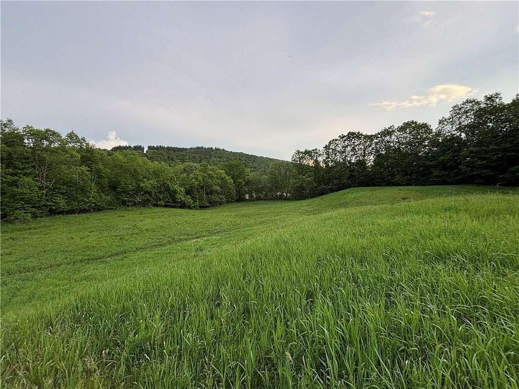 4.42 Acres of Land for Sale in Schenevus, New York