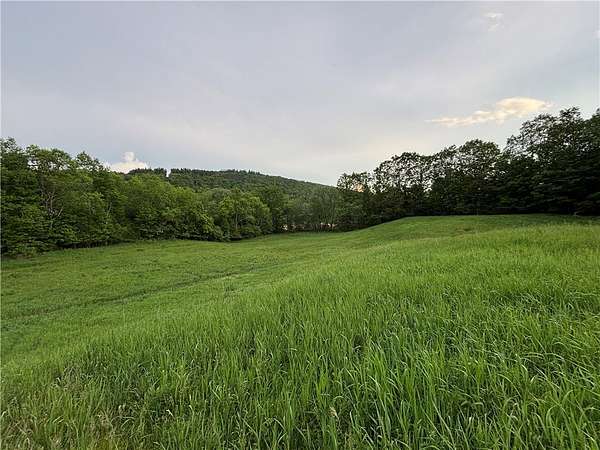 4.42 Acres of Land for Sale in Schenevus, New York