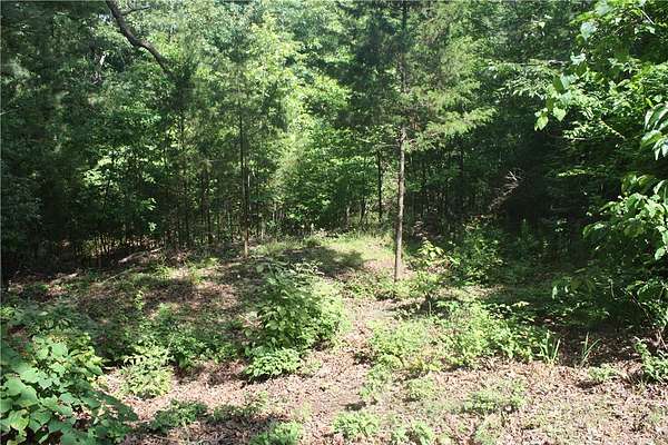 2.72 Acres of Residential Land for Sale in Bull Shoals, Arkansas