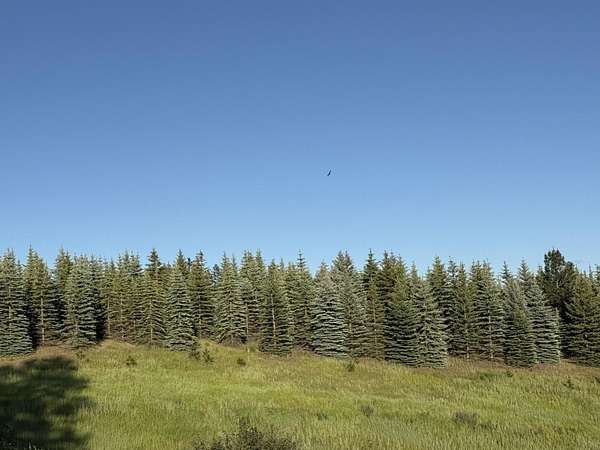 9.84 Acres of Land for Sale in Mica, Washington