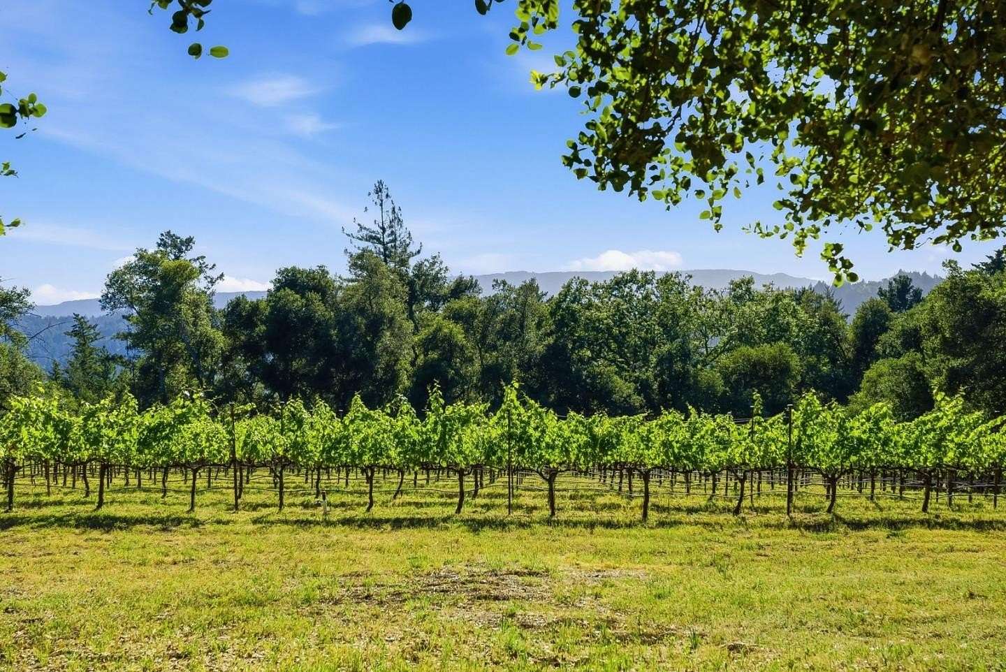 2.5 Acres of Residential Land for Sale in Los Gatos, California