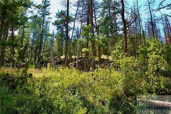 20.5 Acres of Recreational Land for Sale in Cascade, Montana