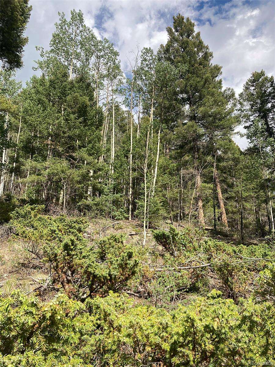 6.29 Acres of Residential Land for Sale in San Luis, Colorado