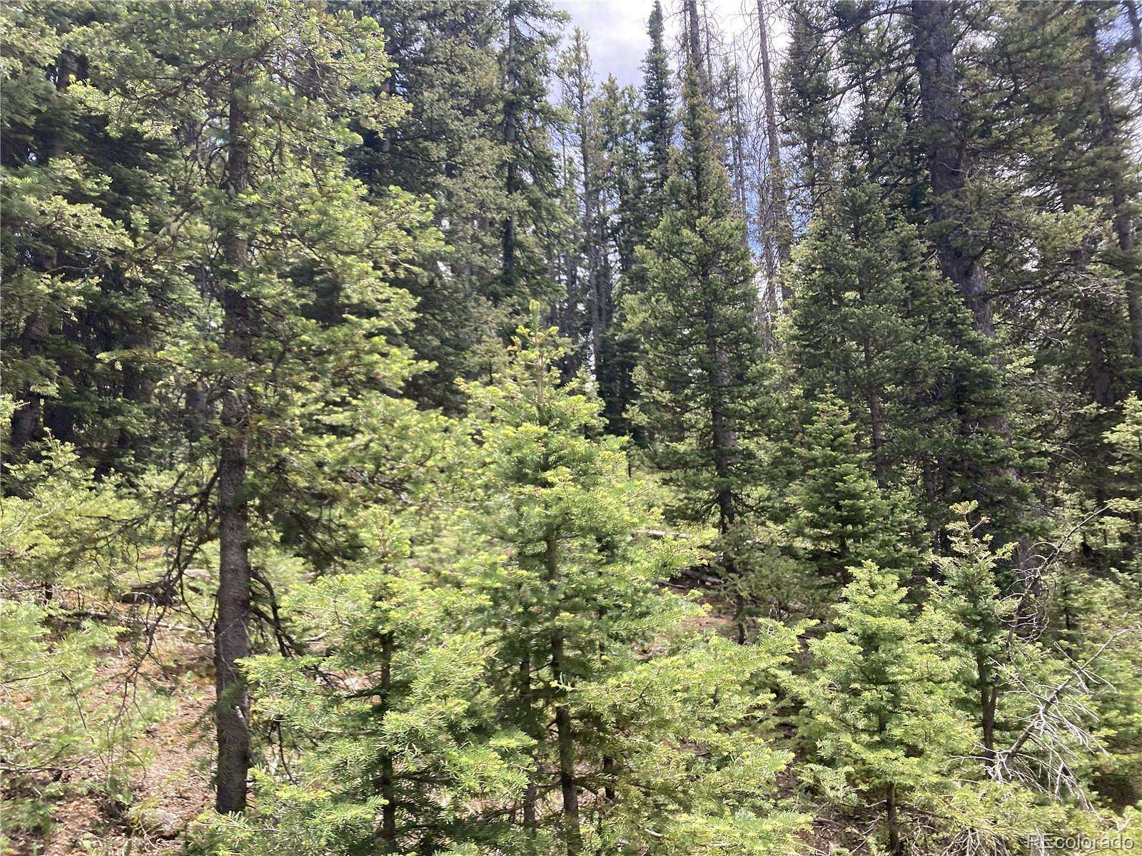 5.4 Acres of Residential Land for Sale in San Luis, Colorado