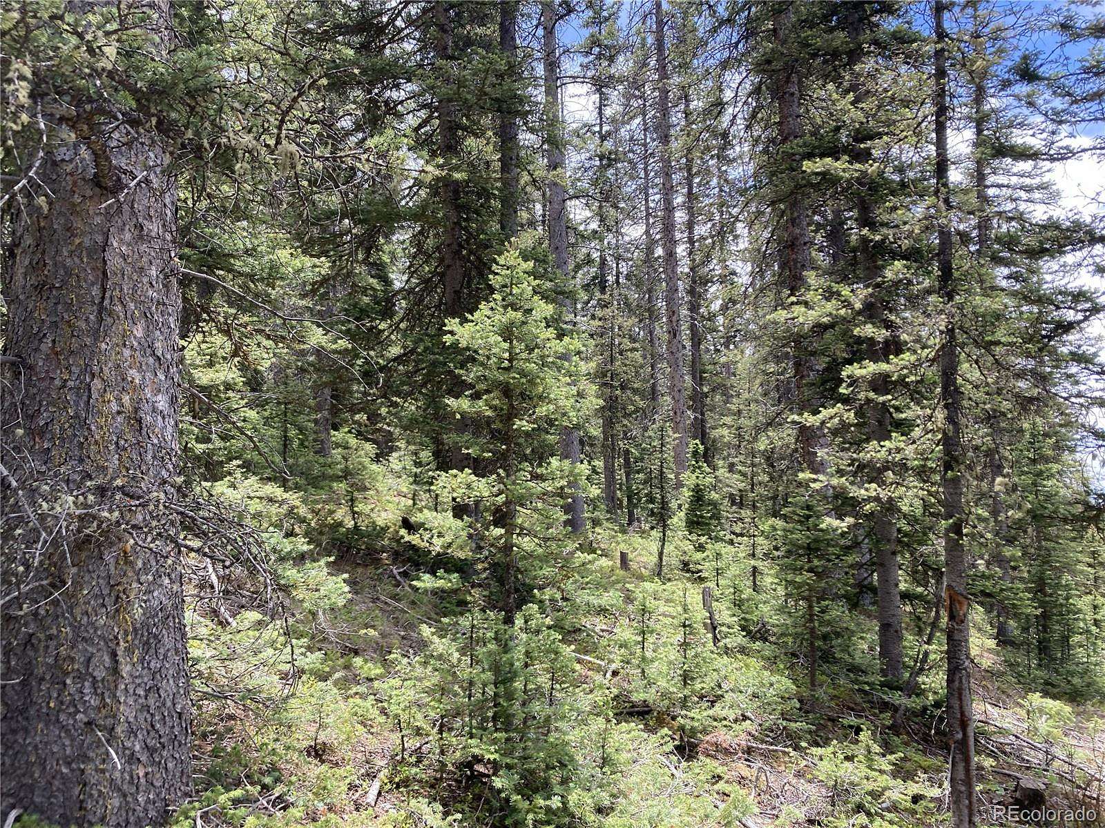 5.4 Acres of Residential Land for Sale in San Luis, Colorado