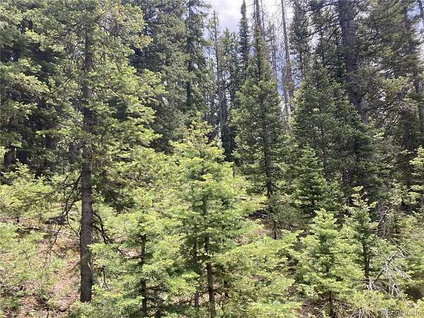 5.4 Acres of Residential Land for Sale in San Luis, Colorado
