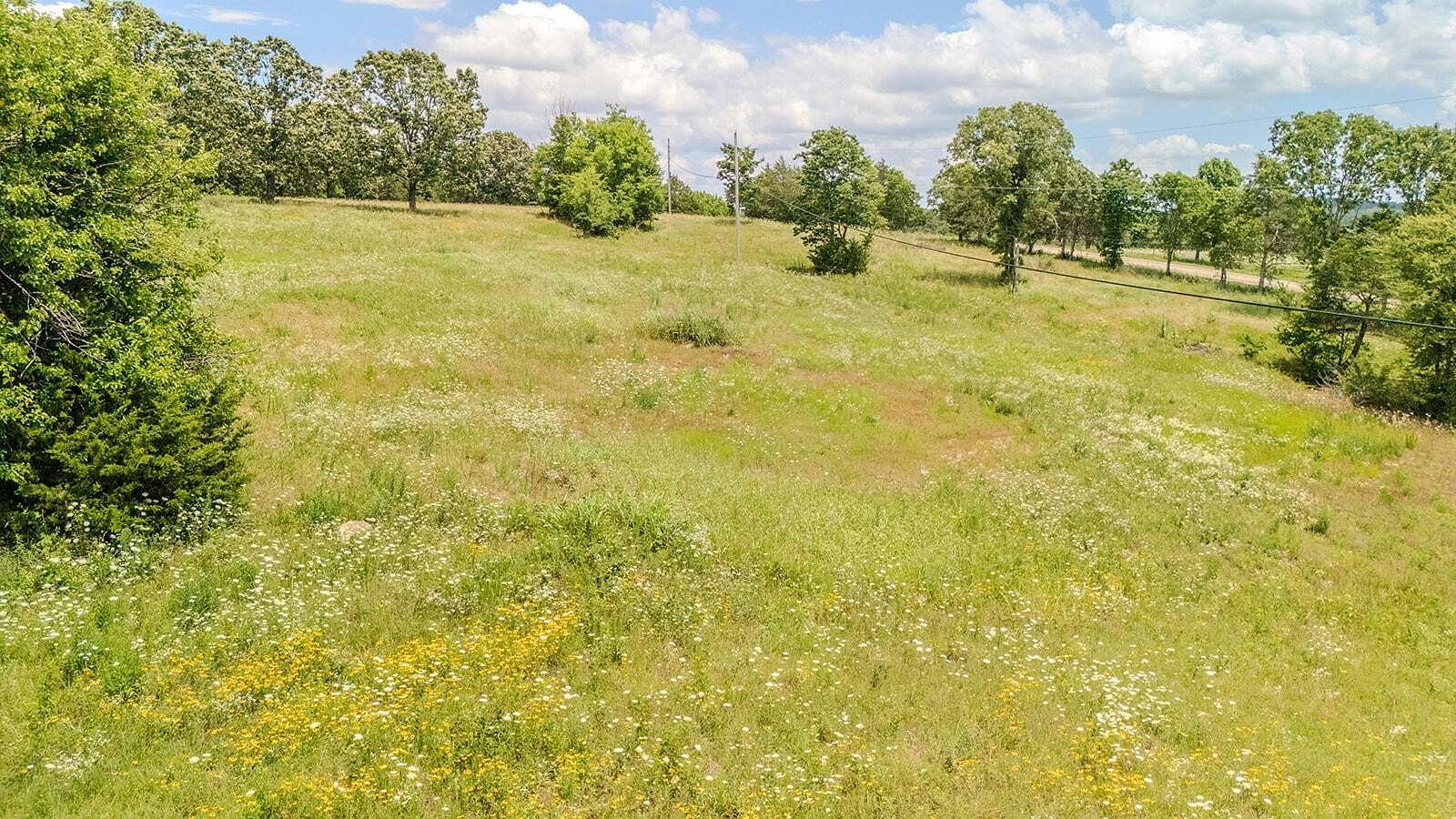 9 Acres of Residential Land for Sale in Protem, Missouri