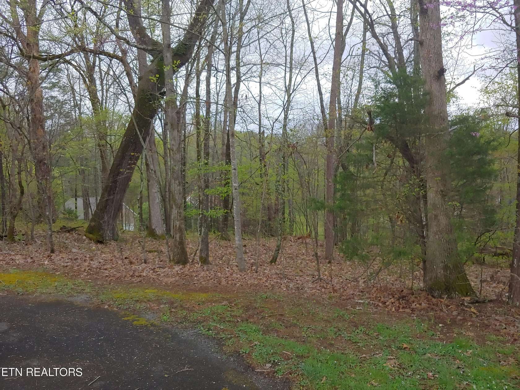 0.31 Acres of Residential Land for Sale in Maryville, Tennessee