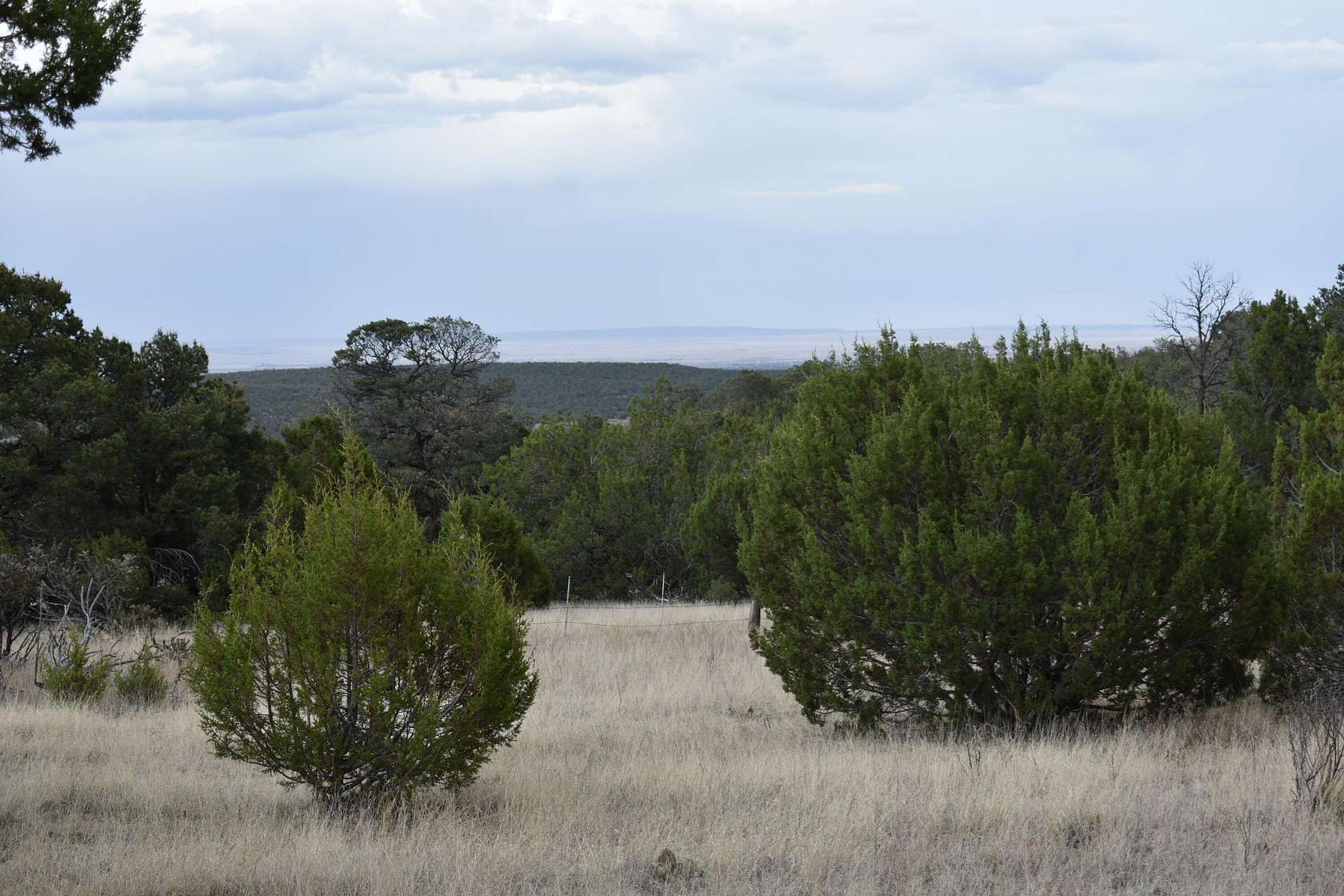 10 Acres of Land for Sale in Edgewood, New Mexico
