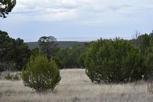 10 Acres of Land for Sale in Edgewood, New Mexico