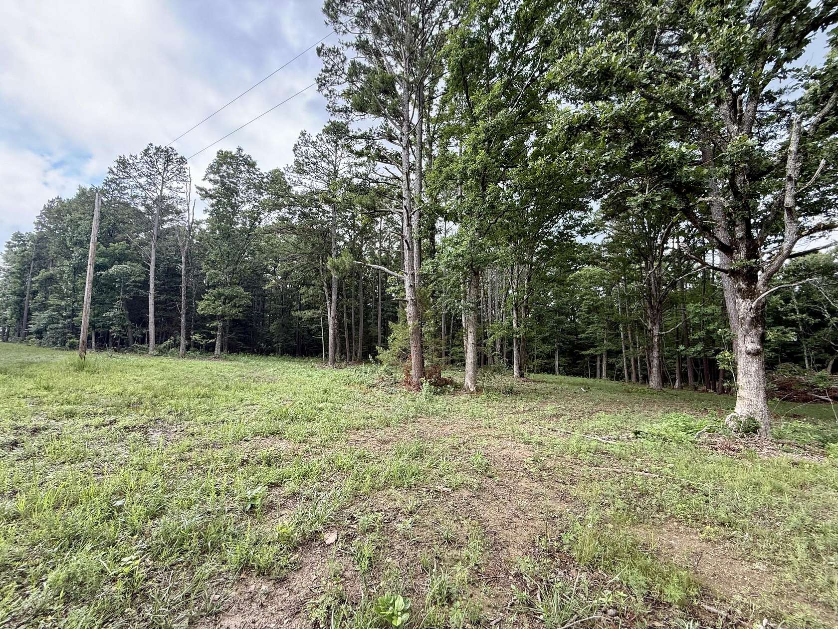 15.8 Acres of Recreational & Residential Land for Sale in Licking, Missouri