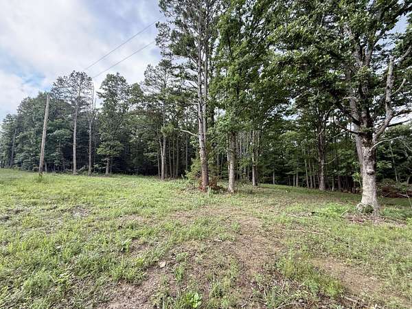 15.8 Acres of Recreational & Residential Land for Sale in Licking, Missouri