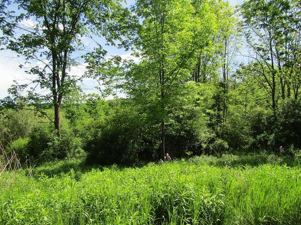 21 Acres of Recreational Land for Sale in Covington, Pennsylvania