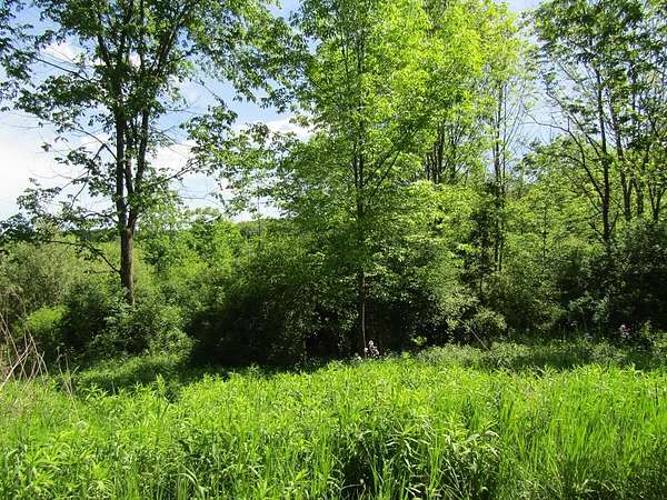 21 Acres of Recreational Land for Sale in Covington, Pennsylvania