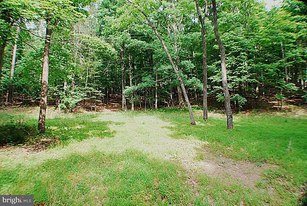 17.8 Acres of Land for Sale in Winchester, Virginia