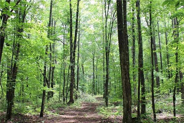 88 Acres of Recreational Land for Sale in Goodwater, Alabama