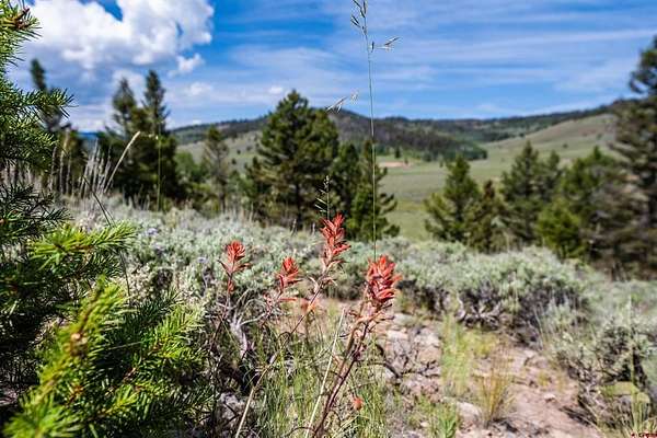 2.1 Acres of Residential Land for Sale in Powderhorn, Colorado