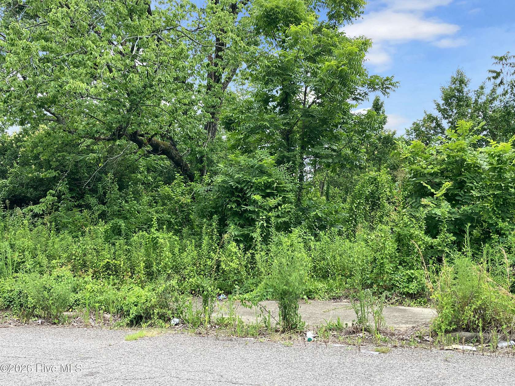 0.05 Acres of Residential Land for Sale in Augusta, Georgia