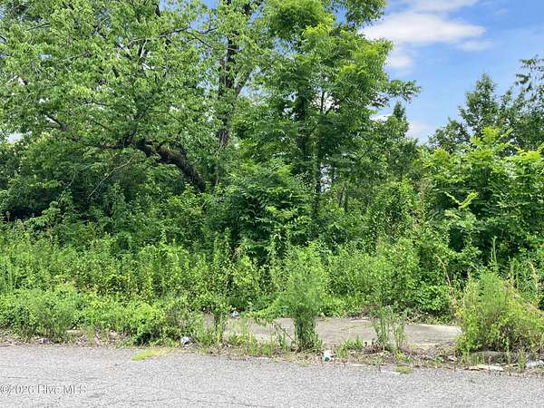 0.05 Acres of Residential Land for Sale in Augusta, Georgia