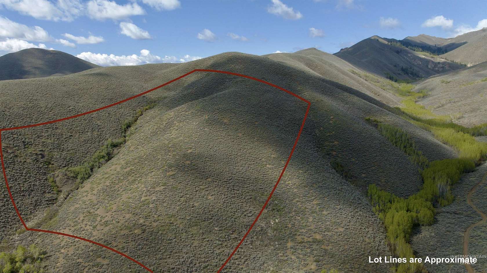 14 Acres of Recreational Land for Sale in Bellevue, Idaho