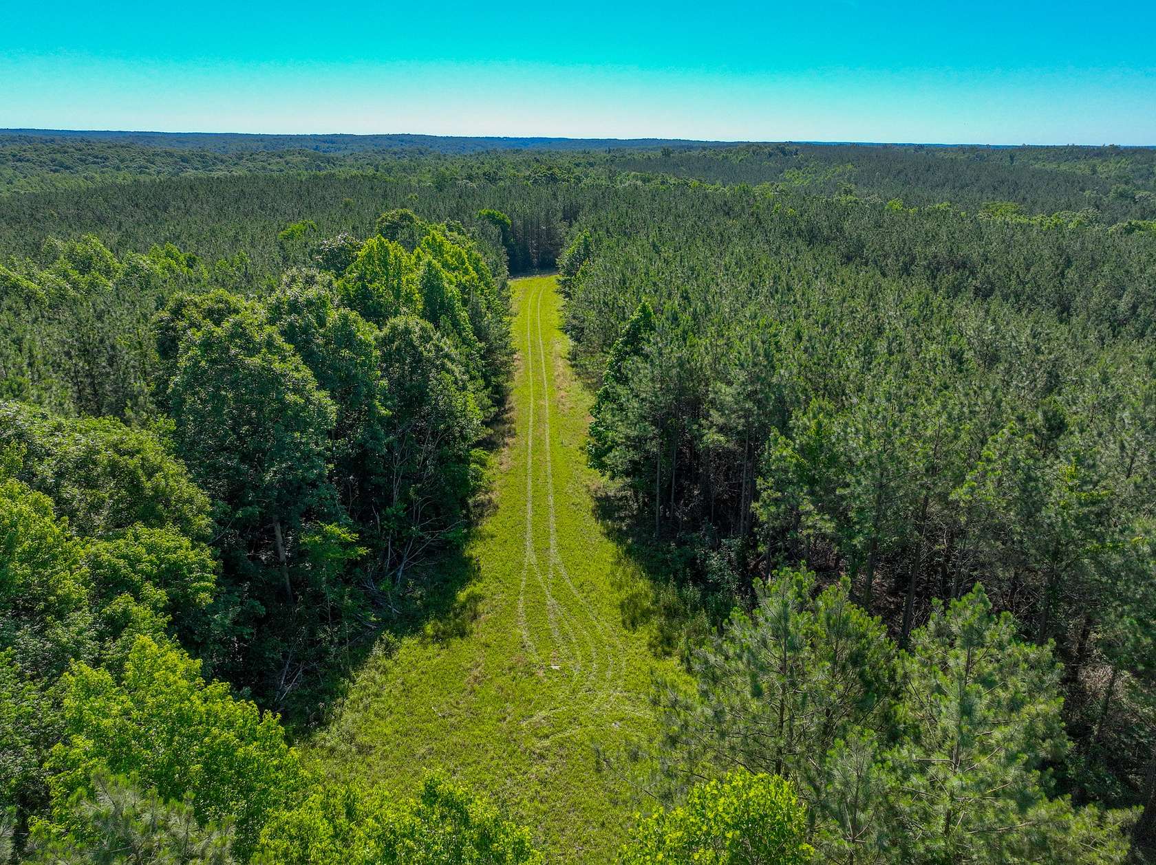 71.3 Acres of Recreational Land for Sale in Stewart, Tennessee