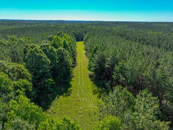 71.3 Acres of Recreational Land for Sale in Stewart, Tennessee
