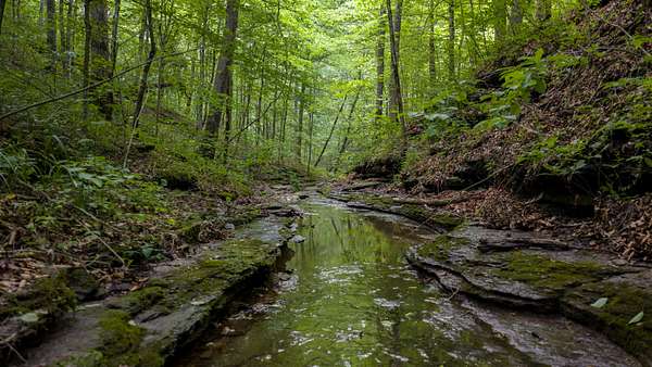 162 Acres of Improved Land for Sale in Charlotte, Tennessee
