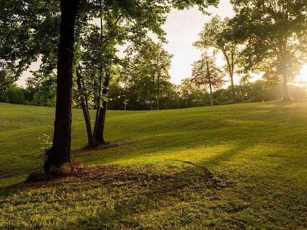 162 Acres of Improved Land for Sale in Charlotte, Tennessee