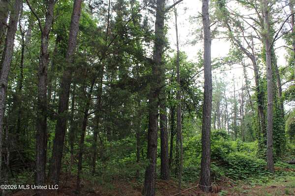 30.1 Acres of Recreational Land for Sale in Holly Springs, Mississippi