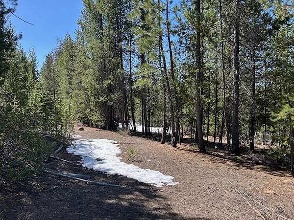 1 Acre of Residential Land for Sale in Crescent Lake, Oregon