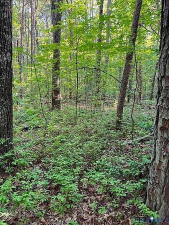 4 Acres of Residential Land for Sale in Montpelier, Virginia
