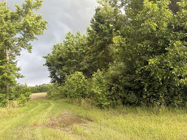 5 Acres of Residential Land for Sale in Alcolu, South Carolina