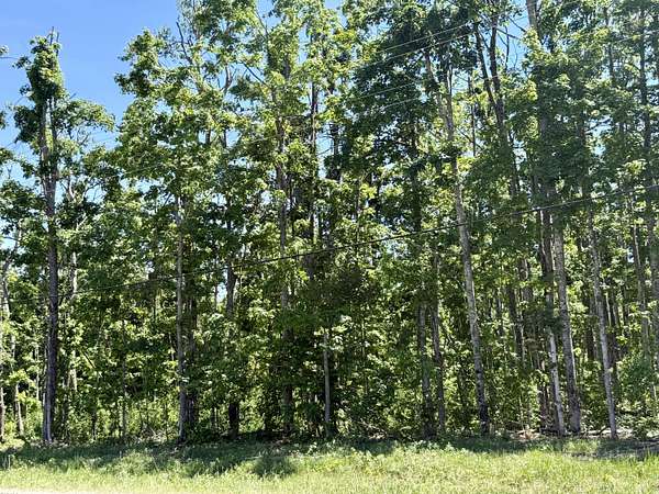 2 Acres of Land for Sale in Elmira, Michigan