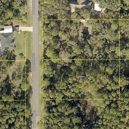 1 Acre of Residential Land for Sale in Eustis, Florida