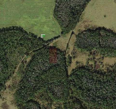 1.25 Acres of Land for Sale in Polk City, Florida