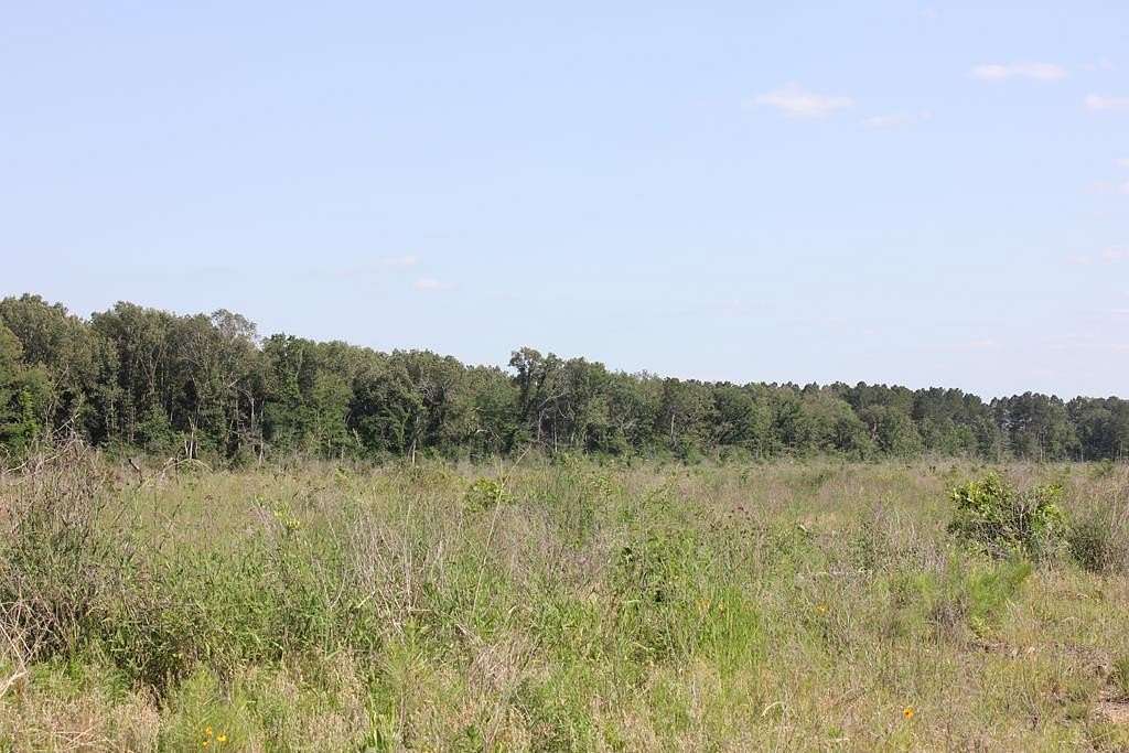 20 Acres of Land for Sale in Huntington, Texas