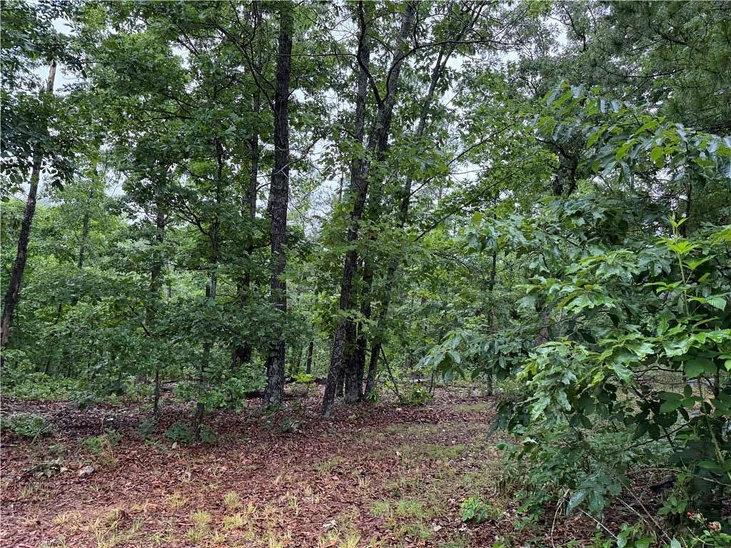 20 Acres of Recreational Land for Sale in Harrison, Arkansas