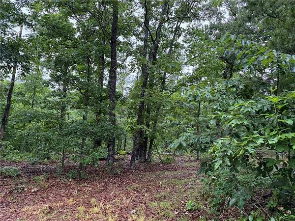 20 Acres of Recreational Land for Sale in Harrison, Arkansas