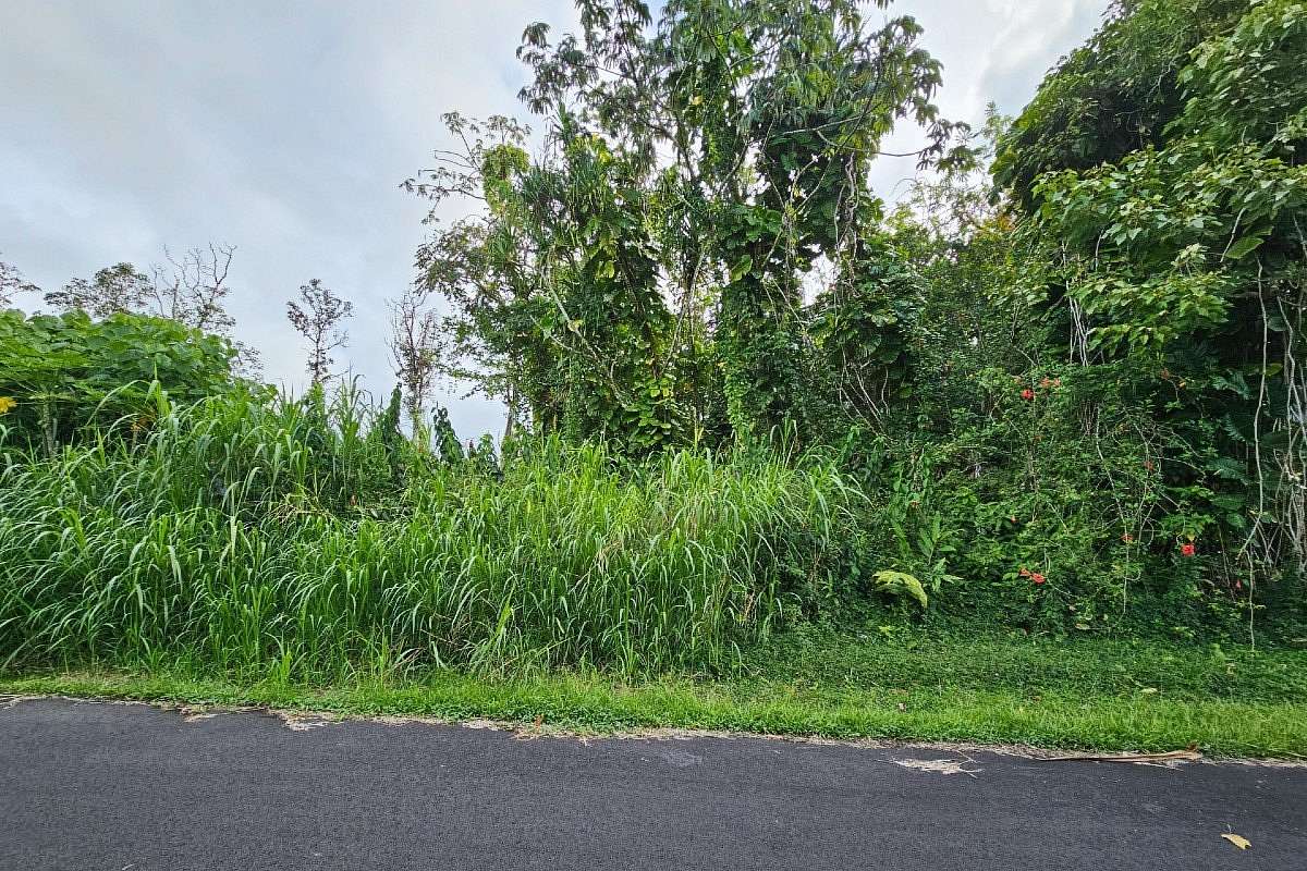 0.28 Acres of Residential Land for Sale in Pahoa, Hawaii